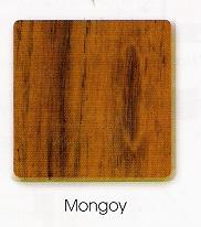 Mongoy